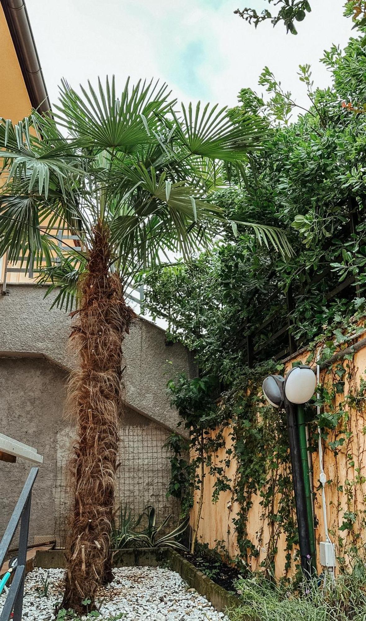 Apartmani Jelena Opatija Exterior foto